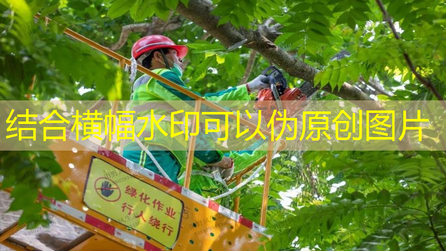 扬中市政绿化工程包括哪些内容